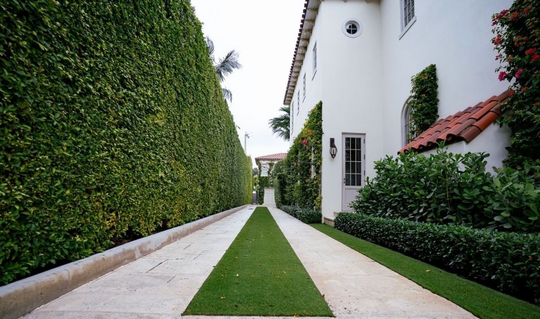 A tall, manicured hedge provides privacy on a Palm Beach property maintained by Coastal Gardens.