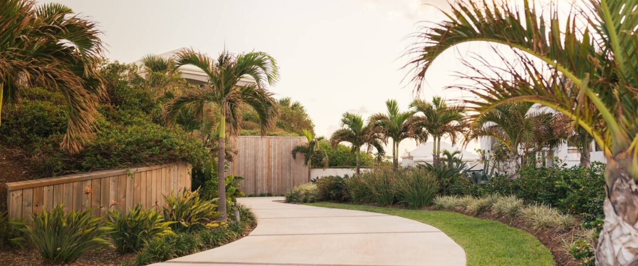 Beautifully landscaped pathway with some plants and palm trees aligned on both sides. An example of quality work from a quality landscaping company in Palm Beach.