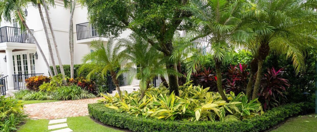 Trees, plants, and landscaping on a Palm Beach property managed by Coastal Gardens.