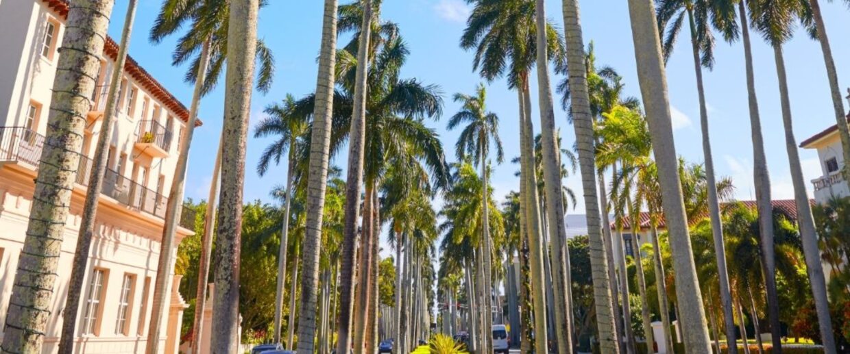 Luxury Palm Beach estate with well-maintained palm trees and manicured landscaping, illustrating seasonal preparation before cooler winter months.