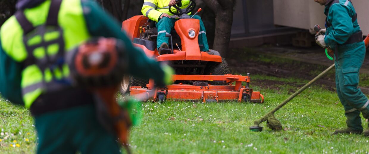 Three lawn care workers maintain grass on a Palm Beach property – one operates a riding lawnmower while two others trim edges with weed whackers.