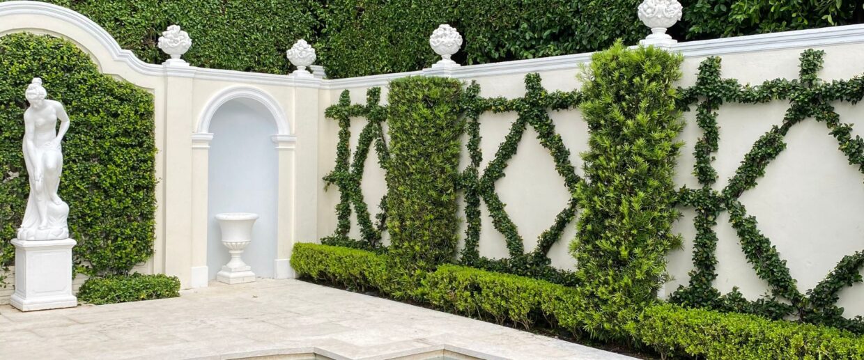 A formal espalier pattern along a wall on a Palm Beach property maintained by Coastal Garden Professionals.