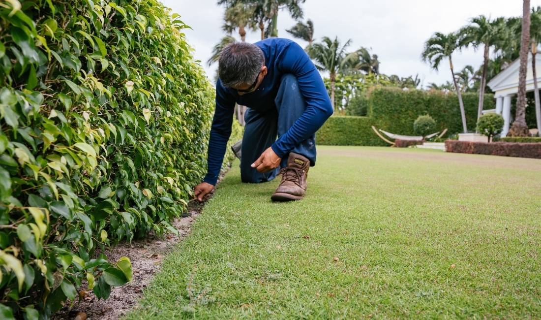 Coastal Gardens landscape professional hand pulling weeds during a weed control inspection of a Palm Beach property.