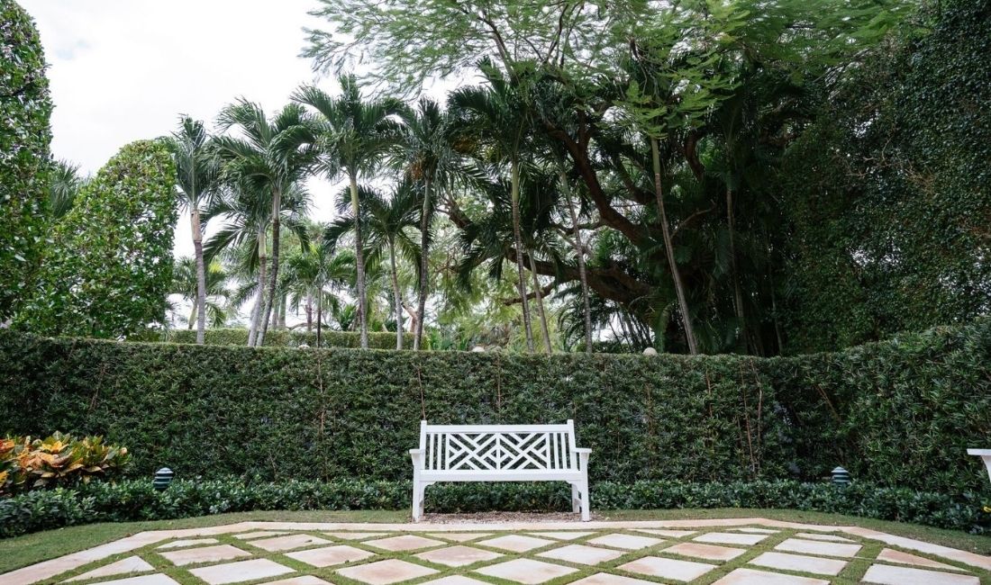 A landscaped yard in Palm Beach maintained by Coastal Gardens has correctly pruned trees and shrubs.