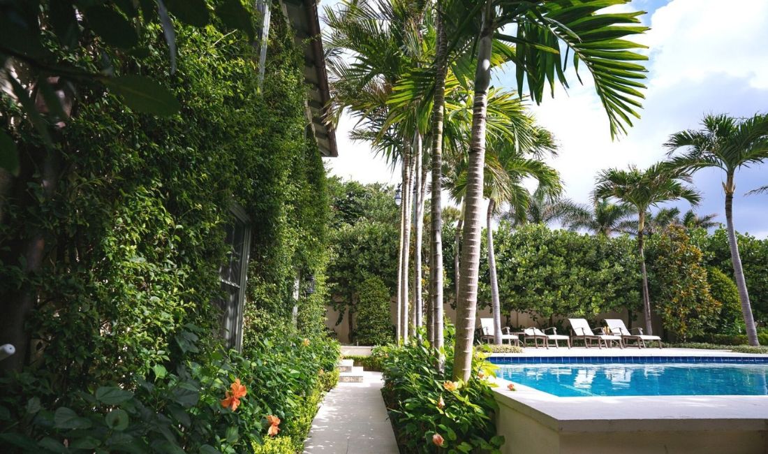 Palms line a pool area on a Palm Beach property maintained by Coastal Gardens.