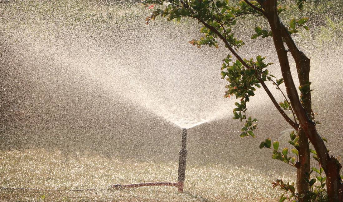 Grading and draining are important factors to consider when using a sprinkler to water your Palm Beach Island estate.