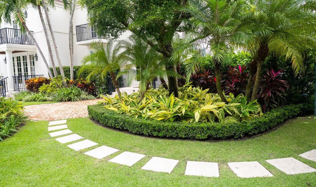 Palm trees, shrubs, and other greenery thriving on a well-maintained Palm Beach property.