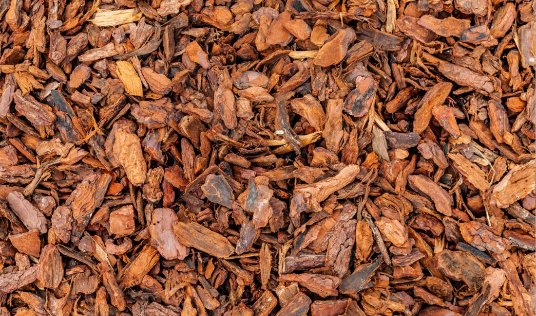 A pile of pine nugget mulch before being installed in South Florida.