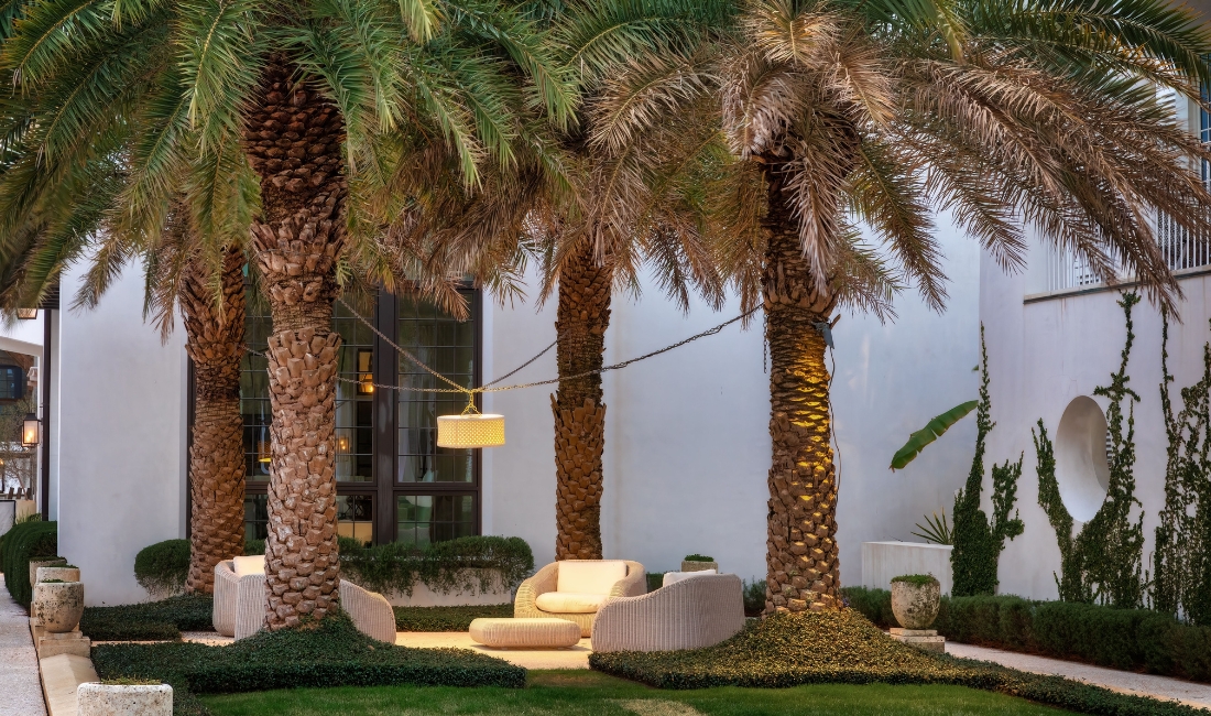 Towering royal palms line a sunny residential street in Palm Beach, Florida, showing the importance of protecting tropical trees when winterizing your estate landscape. 