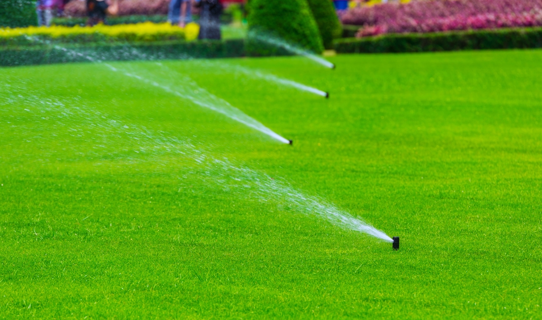 Automatic lawn irrigation system watering lush green turf on a Palm Beach estate, emphasizing proper winter watering for healthy landscapes. 