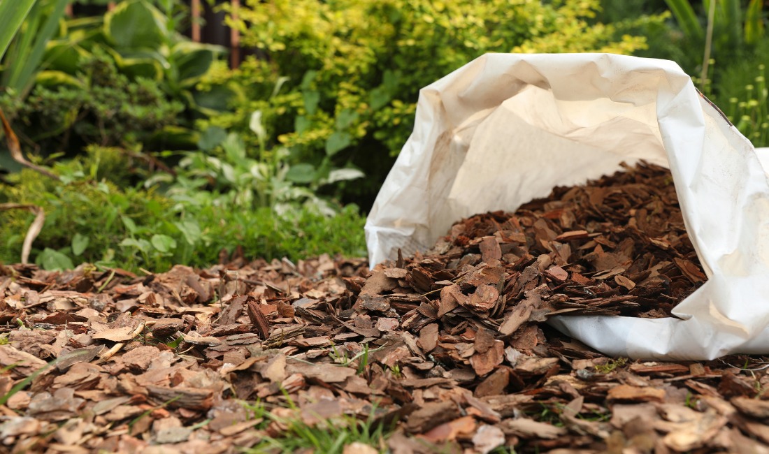 An open white bag of brown wood chip mulch tipped over on the ground with mulch spread out in front of it in a lush garden setting.
