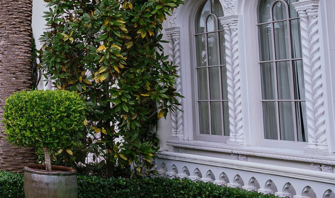 A Southern magnolia grows near a set of windows on a Palm Beach property managed by Coastal Gardens.