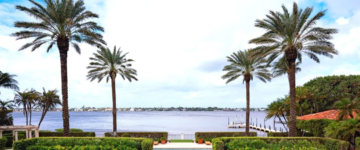 Palm trees surround an ocean view from a Palm Beach property maintained by Coastal Gardens.